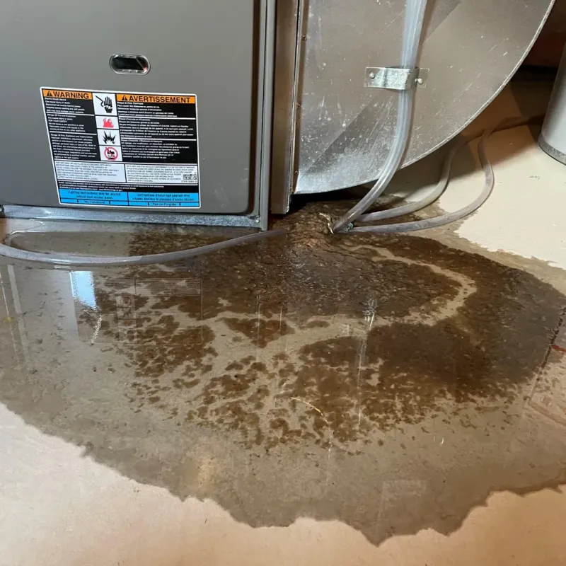 Appliance Leak Cleanup in Jacksonville, AL